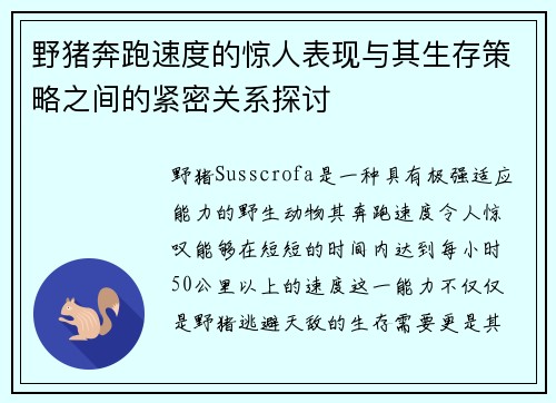 野猪奔跑速度的惊人表现与其生存策略之间的紧密关系探讨
